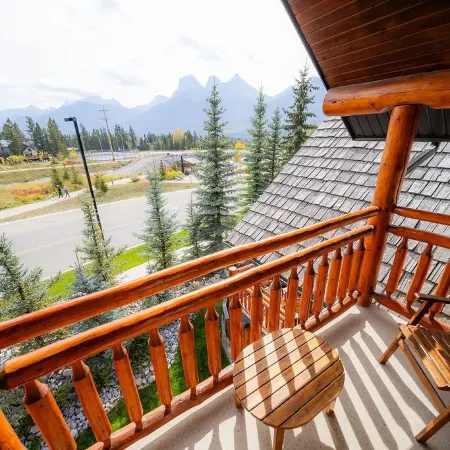 A Bear and Bison Country Inn