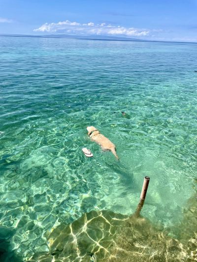 ホテル周辺 ラグンデ ビーチ リゾートの写真