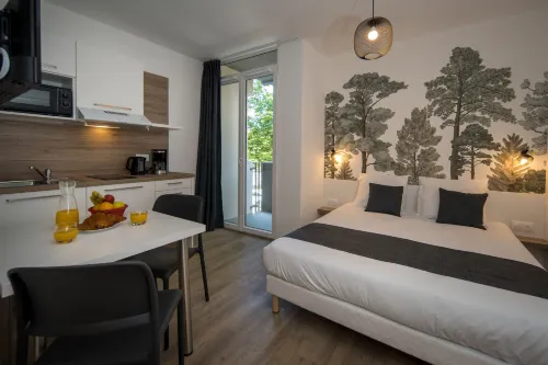 Lagrange Apart'Hotel Mulhouse - WiFi