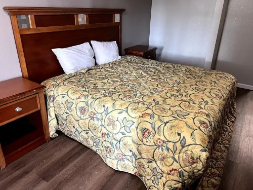 Budget Plaza Motel - Motel