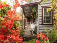 Spetts Cottage Hotels in Walhalla