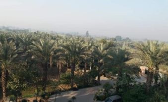 Palm View Hotel