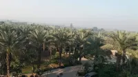 Palm View Hotel Hotels in WAPDA City