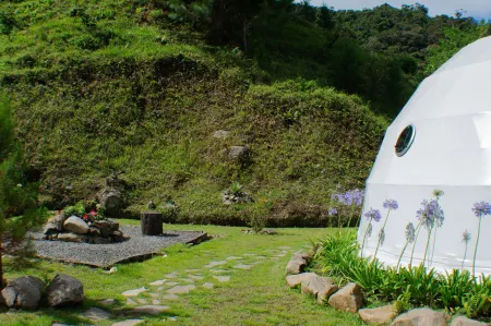 Tree Trek Boquete Adventure Park Отели в г. Лос Наранхос