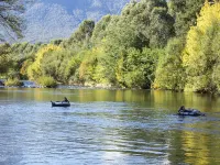 Tawonga Tourist Park Hotels in Bright