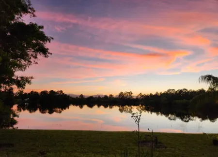 Florida Sunset by the lake
