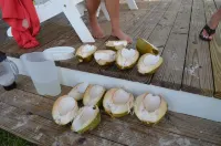 Beachfront one bedroom studio with full kitchen, covered porch and open deck.