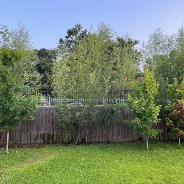 We are 4.8 driving miles from Shipyard Park.