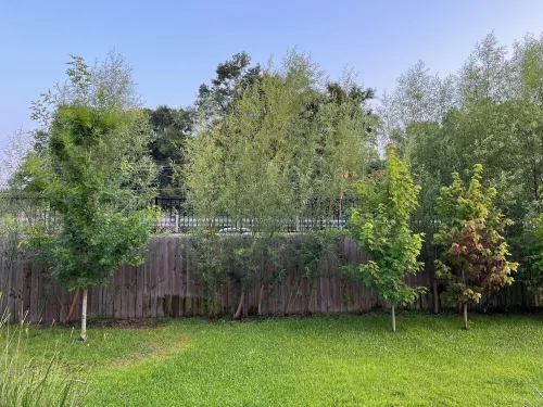 We are 4.8 driving miles from Shipyard Park.