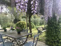 Unforgettable Sunsets, Private Pool, Soul-soothing Lavender and Olive Trees