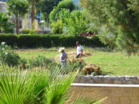 Beachfront Villa Kochily Only 10 Metres From The Sea 米西姆納酒店