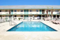 Coconut Grove Motor Inn - Motels