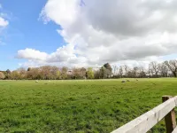 Cornelyn Bach Hotels in Dyserth