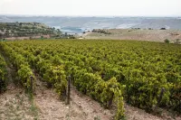 Locanda Gulfi Hotels in Chiaramonte Gulfi