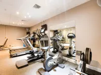 Barony Castle Hotel - gimnasio