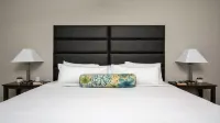 Bold CozySuites w/Pool, Gym, Roof #7