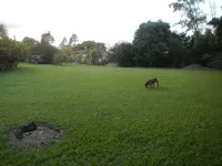 Wonderful place of natural beauty with a farmhouse atmosphere (fiber WIFI)