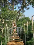 Avatar Amazon Lodge & Canopy Park - chambre d’hôtes