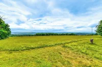 隱蔽的牛津小屋，佔地75英畝：日落景色！ - 3 星級