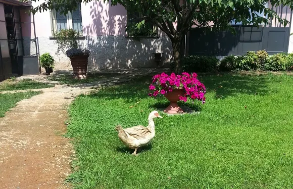 卡西娜瑪多尼娜農莊酒店