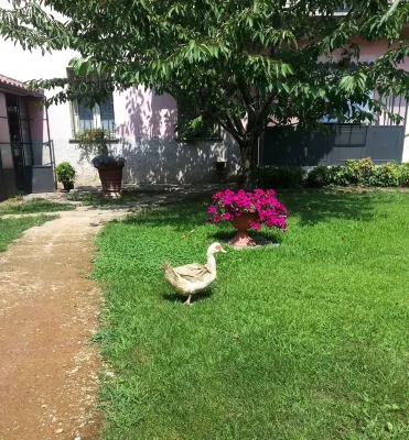 Agriturismo Cascina Madonnina Hotel a 