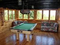 Sycamore Avenue Treehouses & Cottages Accommodation - Lodges
