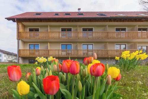 Chalet an der Brunnader Hotels in Bad Birnbach