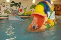 The Plaza Hotel & Suites Winona - Pool