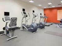 Hilton Garden Inn Edmonton International Airport - Gym