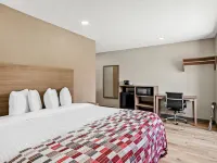Red Roof Inn & Suites Euless - DFW Airport Southwest Hotels in Euless