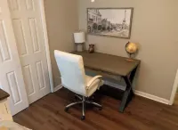 The Owl and Magnolia