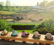 28 North Extended Stay Suites!! pickleball, hot tubs and game room + pool tables