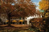 Little Mod Hotel at the University Hotel dekat The University of Virginia