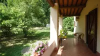 Wonderful Farmhouse 20 km. from Pisa with Swimming Pool - Villa La Casina