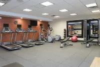 Hampton Inn - Westfield Indianapolis - Gym