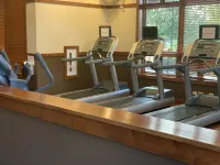 Spacious clean full apartment 20 min from downtown chicago