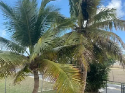 Breathtaking views within a tropical paradise-and just 10 minutes from the beach ノースウェストのホテル