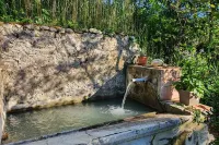 Rare product: Top-of-the-range Provencal farmhouse in the heart of the vineyards Hotel a Villedieu