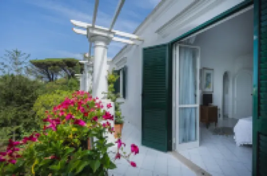 Peaceful oasis for relaxing days with the family