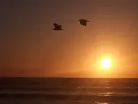 Seasonal rental summer 2025 Security, tranquility and the peace you desire. Hotels in Imbe