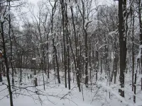 Newly Renovated in 2017/2018! Large 2 Acre Lot. Lots of Parking! Has AC! 本佐尼亞酒店