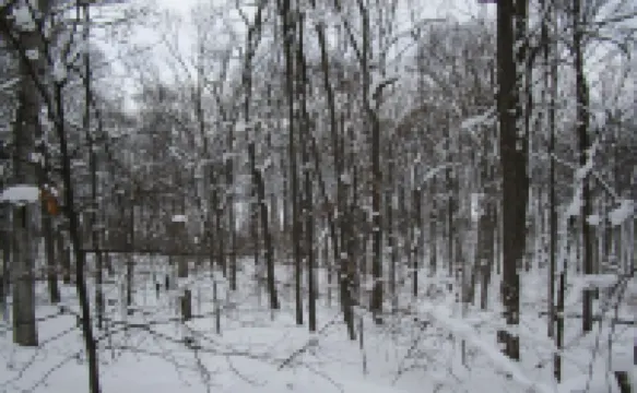 Newly Renovated in 2017/2018! Large 2 Acre Lot. Lots of Parking! Has AC!