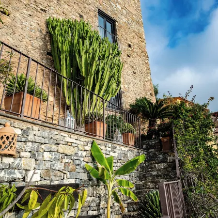 Marulivo Hotel