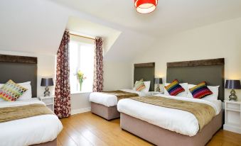 Dingle Harbour Lodge B&B