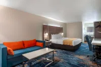 퀄리티 인 블라이드