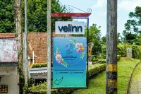 Velinn Pousada Flores do Capivari