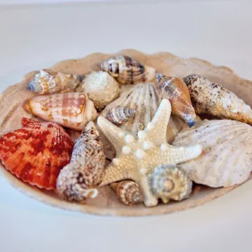 Apartamente Exterior