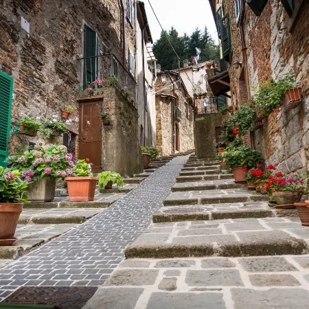Podere del Ciacchi Among Tuscany Greenery - Happy Rentals