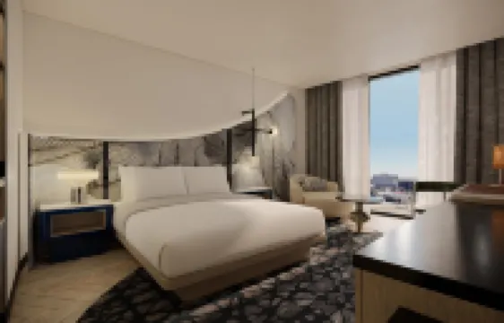 聖安東尼奧君主酒店，希爾頓Curio系列