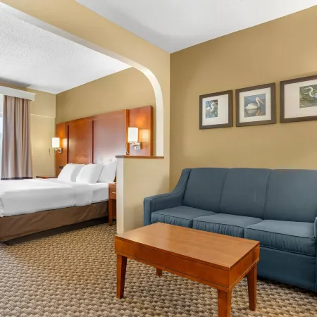 Comfort Suites Tallahassee Downtown Отели рядом с достопримечательностью «Университет штата Флорида»